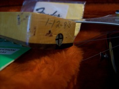 Fender Stratocaster - Reissue Strat Necks — 1 12 83 V005085