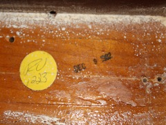 Fender Stratocaster- Reissue Strat Bodies — 1982%20tremolo%20cavity%20date