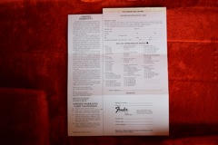 Fender Stratocaster - Reissue Strat Case Candy