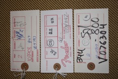 Fender Stratocaster - Reissue Strat Case Candy