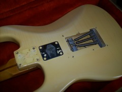 Fender Stratocaster - Reissue Strat Colors — V002479 VW FC